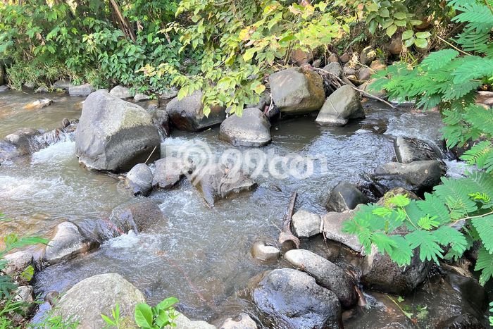 Tanah Dijual Lokasi Ngargoyoso, Karanganyar Luas 1327m2 Legalitas Aman Tanah Dijual Lokasi Ngargoyoso, Karanganyar Luas 1327m2 Legalitas Aman