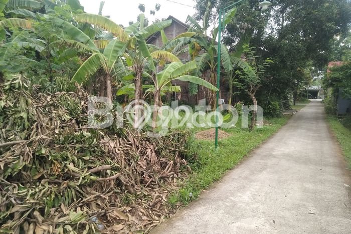 Tanah Dijual Lokasi Banyudono Boyolali SHM Tanah Dijual Lokasi Banyudono Boyolali SHM