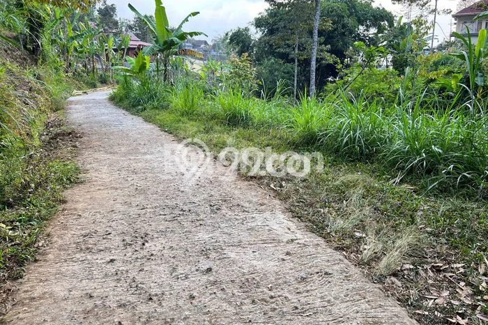 Dijual Tanah di Ngargoyoso Karanganyar Luas 1155m2 SHM Dijual Tanah di Ngargoyoso Karanganyar Luas 1155m2 SHM