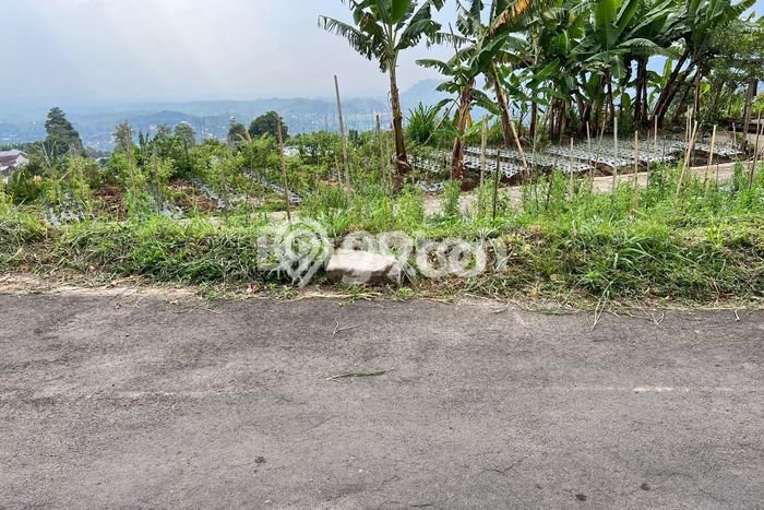 Tanah Strategis Dijual di Ngargoyoso Karanganyar 1000m2 Tanah Strategis Dijual di Ngargoyoso Karanganyar 1000m2