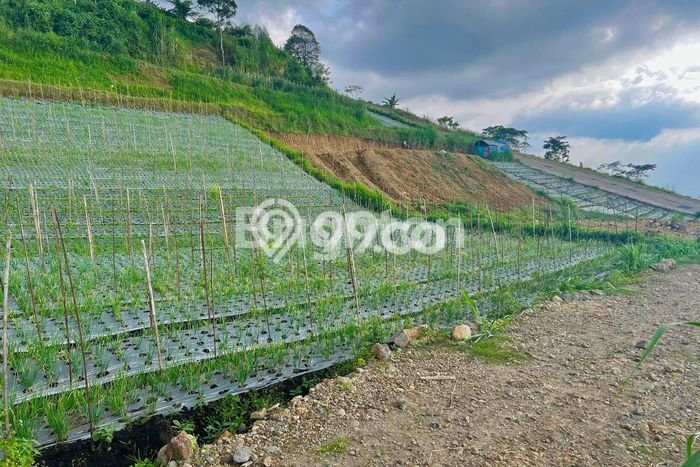 Lahan Kosong Dijual di Ngargoyoso, Karanganyar, Luas 933m2 Area Strategis Lahan Kosong Dijual di Ngargoyoso, Karanganyar, Luas 933m2 Area Strategis