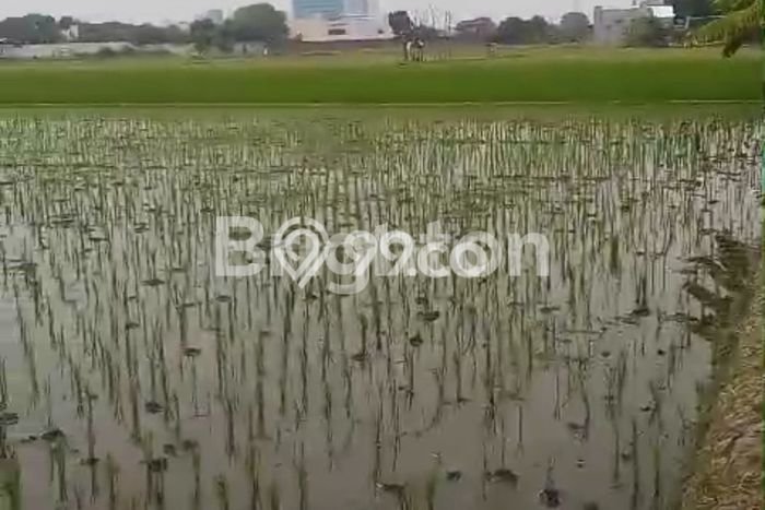 Tanah untuk Dijual di Baki Sukoharjo Luas 6000m2 Tanah untuk Dijual di Baki Sukoharjo Luas 6000m2