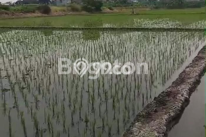 Tanah untuk Dijual di Baki Sukoharjo Luas 6000m2 Tanah untuk Dijual di Baki Sukoharjo Luas 6000m2