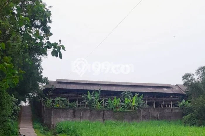 Kavling Tanah Dijual di Sambirejo Sragen Spesifikasi 15000m2 Kavling Tanah Dijual di Sambirejo Sragen Spesifikasi 15000m2