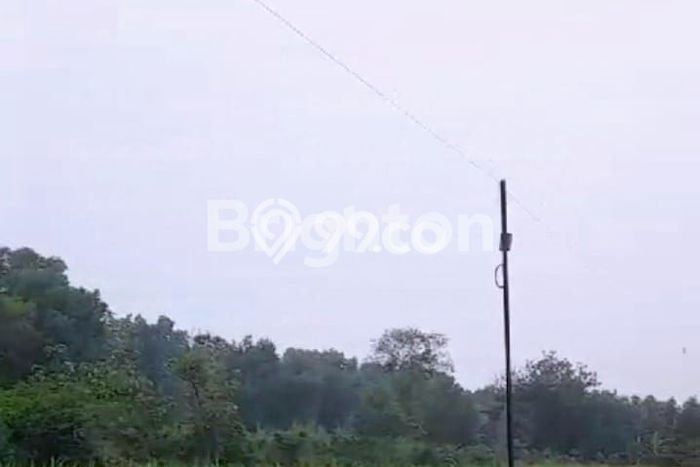 Kavling Tanah Dijual di Sambirejo Sragen Spesifikasi 15000m2 Kavling Tanah Dijual di Sambirejo Sragen Spesifikasi 15000m2