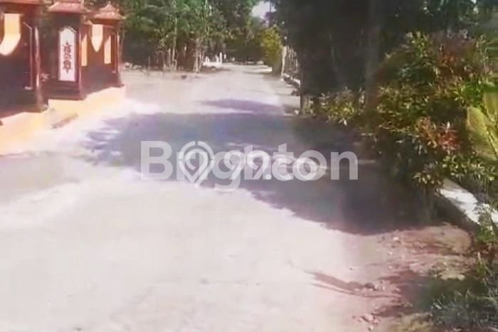 Tanah Dijual Lokasi Wonosari, Klaten Luas 6000m2 Legalitas Aman Tanah Dijual Lokasi Wonosari, Klaten Luas 6000m2 Legalitas Aman