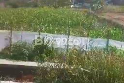 Tanah Dijual Lokasi Wonosari, Klaten Luas 6000m2 Legalitas Aman Tanah Dijual Lokasi Wonosari, Klaten Luas 6000m2 Legalitas Aman