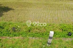 Lahan Strategis di Sidoharjo Dijual dengan Luas 7645m2 Lahan Strategis di Sidoharjo Dijual dengan Luas 7645m2