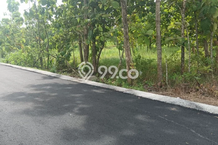 Lahan Dijual Lokasi Sambi, Boyolali dengan Luas Tanah 35000m2 dan Status SHM Lahan Dijual Lokasi Sambi, Boyolali dengan Luas Tanah 35000m2 dan Status SHM