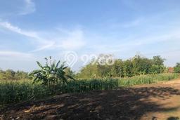 Lahan untuk Dijual di Sambi Boyolali Luas 20000m2 Lahan untuk Dijual di Sambi Boyolali Luas 20000m2