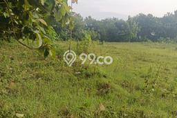 Tanah Dijual Lokasi Nogosari, Boyolali Luas 5000m2 Legalitas Aman Tanah Dijual Lokasi Nogosari, Boyolali Luas 5000m2 Legalitas Aman