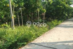 Tanah Kavling di Ngemplak Dijual dengan Luas 5200m2 Tanah Kavling di Ngemplak Dijual dengan Luas 5200m2