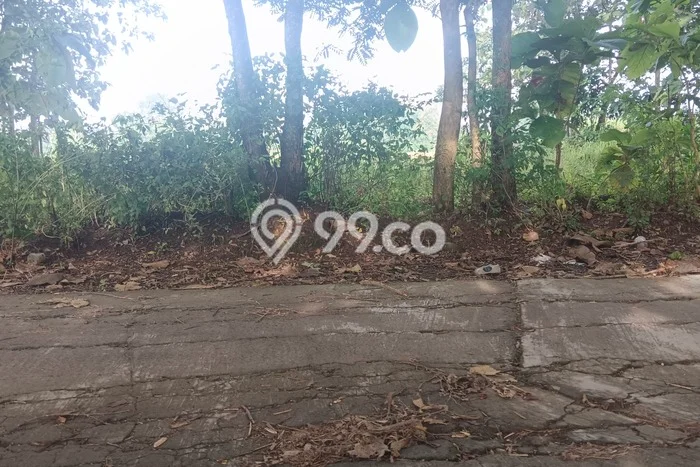 Lahan untuk Dijual Lokasi Nogosari, Boyolali Luas 5000m2 SHM Lahan untuk Dijual Lokasi Nogosari, Boyolali Luas 5000m2 SHM