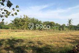 Lahan untuk Dijual di Sambi Boyolali Luas 20000m2 Lahan untuk Dijual di Sambi Boyolali Luas 20000m2