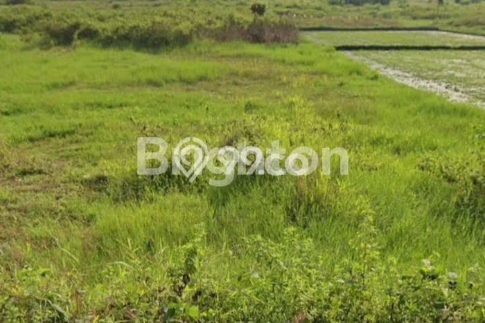 Kavling Tanah Dijual di Banyudono Boyolali Spesifikasi 4000m2 Kavling Tanah Dijual di Banyudono Boyolali Spesifikasi 4000m2