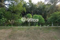 Tanah Dijual Lokasi Sudimoro Pacitan SHM Tanah Dijual Lokasi Sudimoro Pacitan SHM