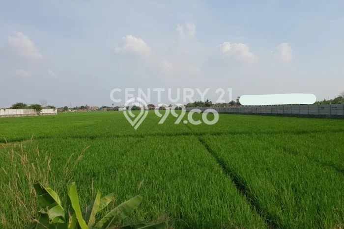 Tanah Kavling di Karawang Timur Dijual dengan Luas 57508m2 Tanah Kavling di Karawang Timur Dijual dengan Luas 57508m2