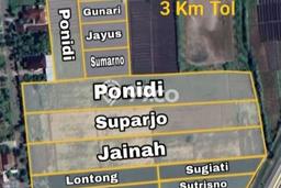 Kavling Tanah di Gondang Dijual Luas 35000m2 Legalitas SHM Kavling Tanah di Gondang Dijual Luas 35000m2 Legalitas SHM