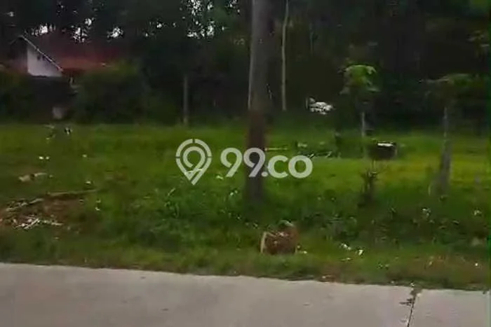 Tanah Dijual Lokasi Ampel, Boyolali Luas 250000m2 Legalitas Aman Tanah Dijual Lokasi Ampel, Boyolali Luas 250000m2 Legalitas Aman