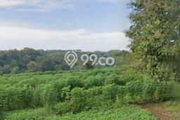 Lahan untuk Dijual Lokasi Wonogiri, Wonogiri Luas 21224m2 SHM Lahan untuk Dijual Lokasi Wonogiri, Wonogiri Luas 21224m2 SHM