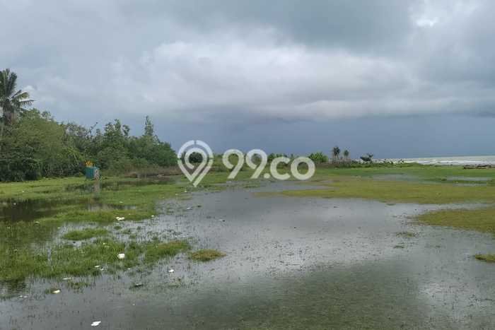 Kavling Tanah di Panimbang Dijual Luas 41666m2 Legalitas SHM Kavling Tanah di Panimbang Dijual Luas 41666m2 Legalitas SHM