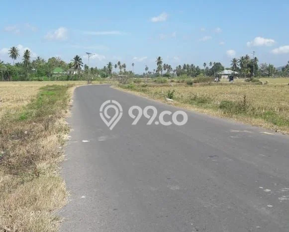 Kavling Tanah Dijual di Kabila Bone Bolango Spesifikasi 10000m2 Kavling Tanah Dijual di Kabila Bone Bolango Spesifikasi 10000m2