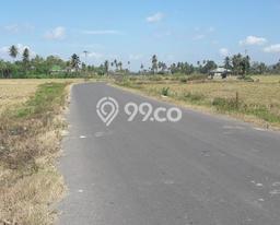 Kavling Tanah Dijual di Kabila Bone Bolango Spesifikasi 10000m2 Kavling Tanah Dijual di Kabila Bone Bolango Spesifikasi 10000m2