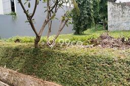 Tanah Kavling Dijual di Sektor 7-Bintaro, Tangerang Selatan dengan Luas Tanah 216m2 Tanah Kavling Dijual di Sektor 7-Bintaro, Tangerang Selatan dengan Luas Tanah 216m2