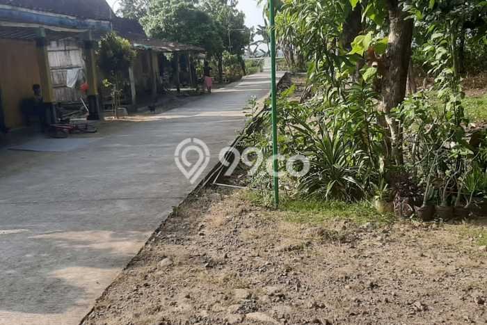 Hunian Murah Dijual di Tanggungharjo, Grobogan Harga Rp 158 Juta Hunian Murah Dijual di Tanggungharjo, Grobogan Harga Rp 158 Juta