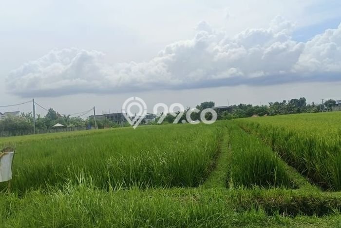 Tanah untuk Disewa di Badung Luas 3500m2 Tanah untuk Disewa di Badung Luas 3500m2