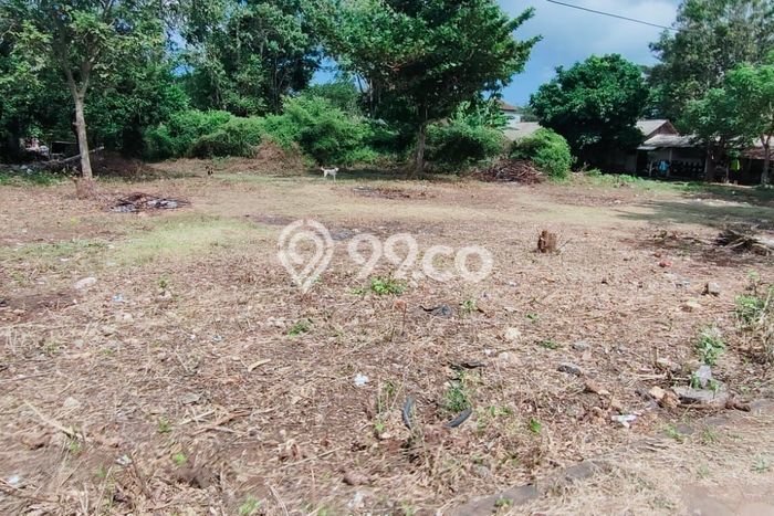 Tanah Disewakan Lokasi Jimbaran Badung Luas 2500m2 Tanah Disewakan Lokasi Jimbaran Badung Luas 2500m2