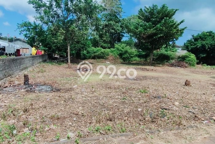 Tanah Disewakan Lokasi Jimbaran Badung Luas 2500m2 Tanah Disewakan Lokasi Jimbaran Badung Luas 2500m2