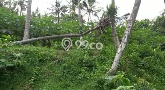 Kavling Tanah Dijual di Blahbatuh Gianyar Spesifikasi 4600m2 Kavling Tanah Dijual di Blahbatuh Gianyar Spesifikasi 4600m2
