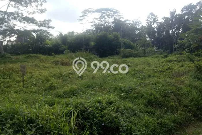 Tanah Kavling Dijual di Gianyar dengan Spesifikasi 922m2 Tanah Kavling Dijual di Gianyar dengan Spesifikasi 922m2