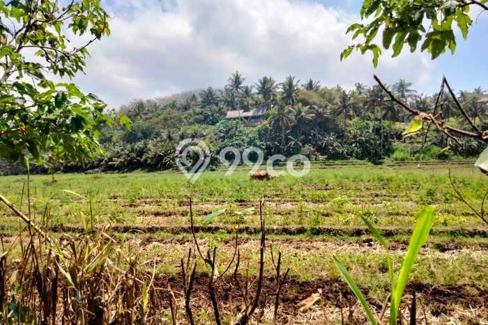 Tanah Dijual di Tabanan Seluas 6200m2 Strategis Tanah Dijual di Tabanan Seluas 6200m2 Strategis