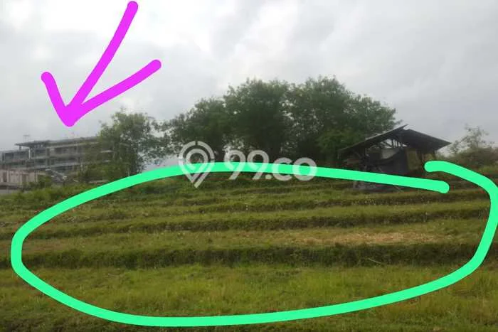 Kavling Tanah untuk Dijual di Umalas, Badung, Luas 1461m2 Kavling Tanah untuk Dijual di Umalas, Badung, Luas 1461m2