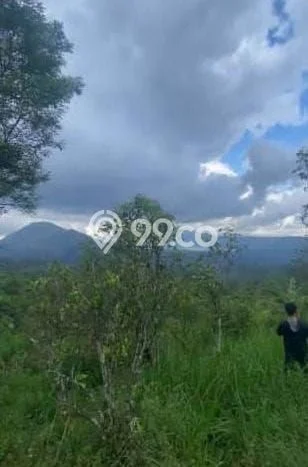 Tanah Dijual Lokasi Kintamani, Bangli dengan Luas Tanah 11700m2 dan Status - Tanah Dijual Lokasi Kintamani, Bangli dengan Luas Tanah 11700m2 dan Status -