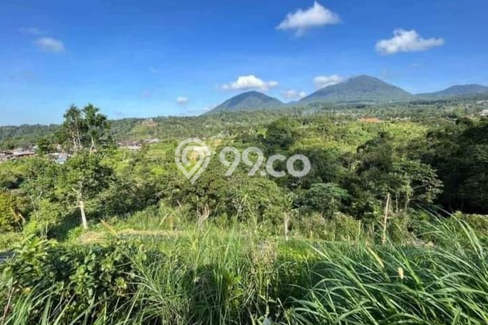 Tanah Kavling di Kerambitan Dijual dengan Luas 15000m2 Tanah Kavling di Kerambitan Dijual dengan Luas 15000m2