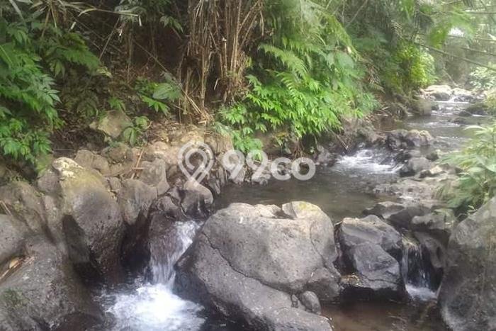 Kavling Tanah untuk Dijual di Sebatu, Gianyar, Luas 60000m2 Kavling Tanah untuk Dijual di Sebatu, Gianyar, Luas 60000m2