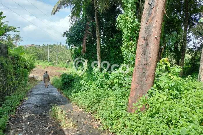 Lahan Dijual Lokasi Strategis di Gianyar dengan Luas 2000m2 Lahan Dijual Lokasi Strategis di Gianyar dengan Luas 2000m2