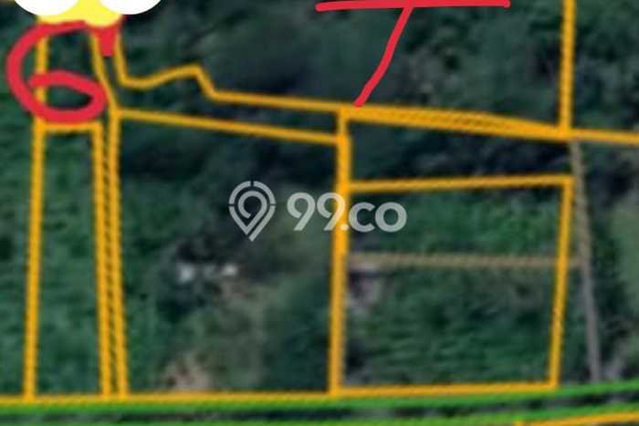 Kavling Tanah di Tegallalang Dijual Luas 9000m2 Legalitas SHM Kavling Tanah di Tegallalang Dijual Luas 9000m2 Legalitas SHM