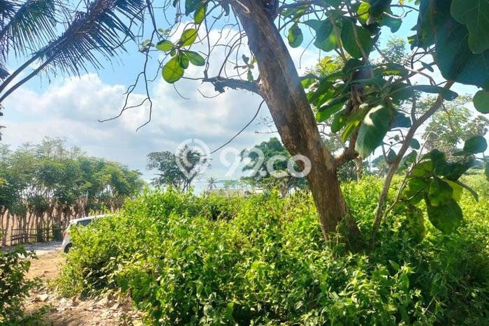 Tanah Kavling di Blahbatuh Dijual dengan Luas 1400m2 Tanah Kavling di Blahbatuh Dijual dengan Luas 1400m2