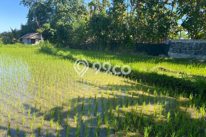 Untuk Dijual Tanah 1200m2 di Keramas, Gianyar Untuk Dijual Tanah 1200m2 di Keramas, Gianyar