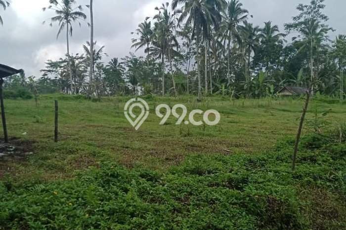 Tanah Komersial Dijual di Tegallalang Gianyar 10000m2 Tanah Komersial Dijual di Tegallalang Gianyar 10000m2
