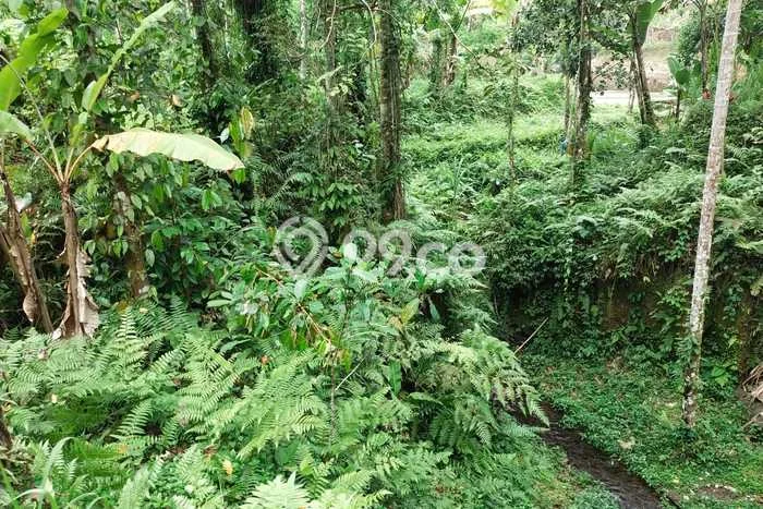 Tanah Siap Bangun Dijual di Gianyar Punya Luas 52000m2 Tanah Siap Bangun Dijual di Gianyar Punya Luas 52000m2