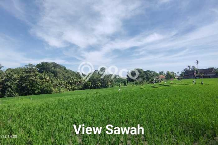 Tanah Dijual di Tabanan Seluas 2000m2 Strategis Tanah Dijual di Tabanan Seluas 2000m2 Strategis