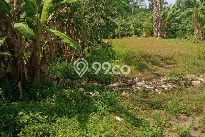 Tanah Dijual Area Strategis di Kemenuh Gianyar 1000m2 Tanah Dijual Area Strategis di Kemenuh Gianyar 1000m2