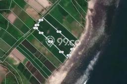 Lahan Dijual Lokasi Manggis, Karangasem dengan Luas Tanah 2000m2 dan Status SHM Lahan Dijual Lokasi Manggis, Karangasem dengan Luas Tanah 2000m2 dan Status SHM