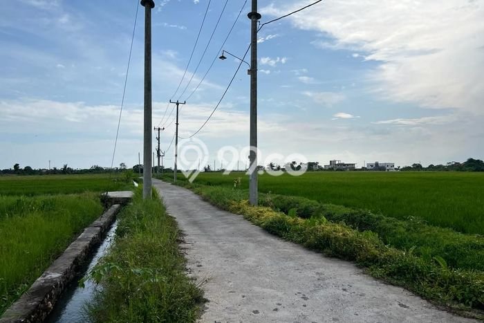 Tanah Siap Bangun Dijual di Tabanan Punya Luas 1900m2 Tanah Siap Bangun Dijual di Tabanan Punya Luas 1900m2