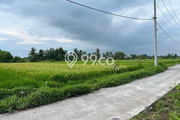Tanah Siap Bangun Dijual di Tabanan Punya Luas 1900m2 Tanah Siap Bangun Dijual di Tabanan Punya Luas 1900m2